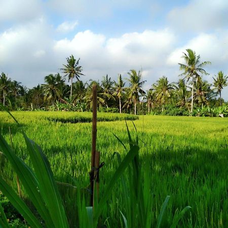 Uma Loka Villa By Shm Ubud  Ngoại thất bức ảnh