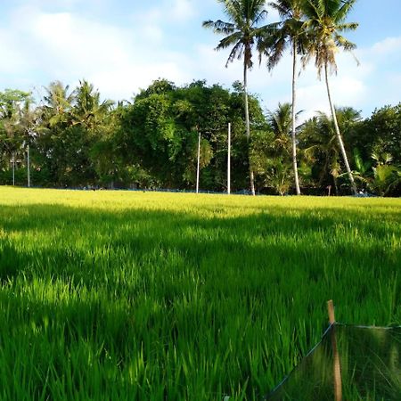 Uma Loka Villa By Shm Ubud  Ngoại thất bức ảnh