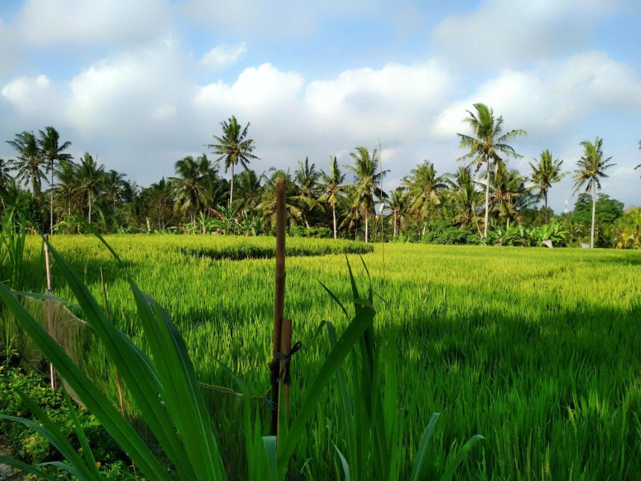 Uma Loka Villa By Shm Ubud  Ngoại thất bức ảnh
