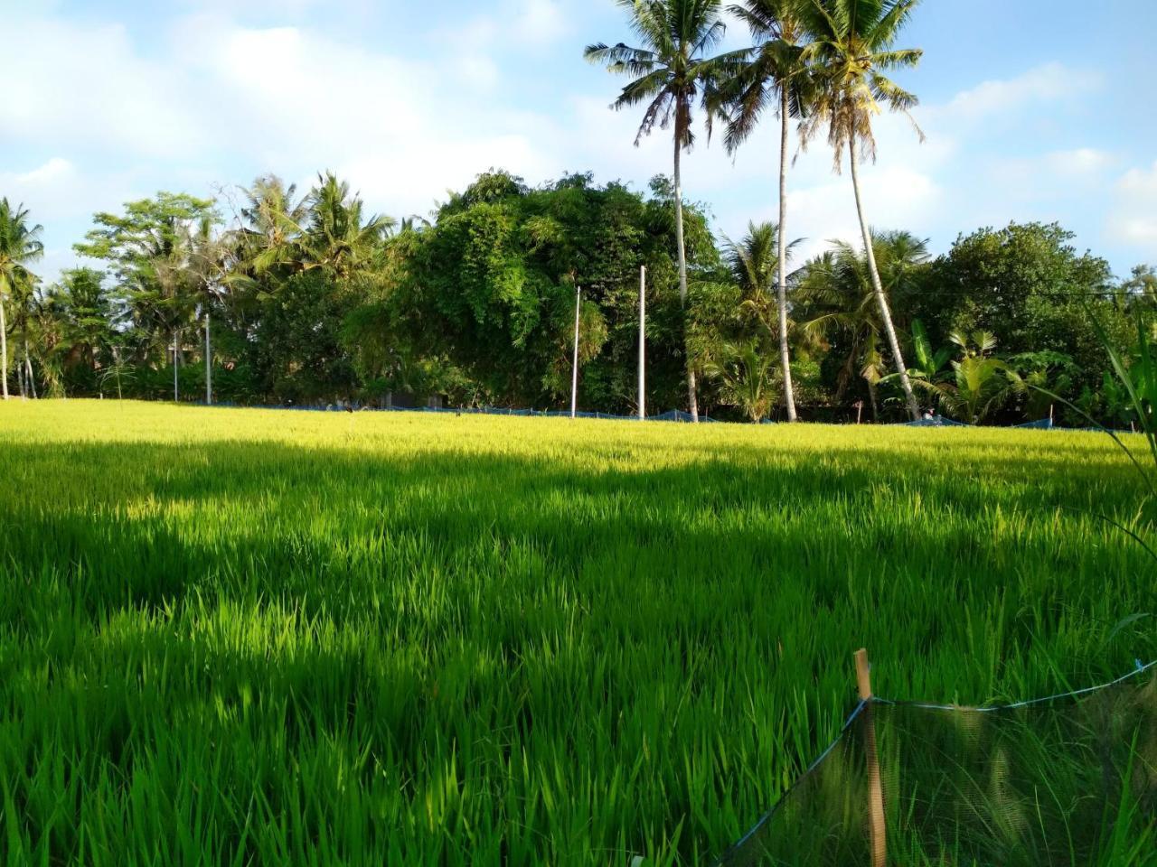 Uma Loka Villa By Shm Ubud  Ngoại thất bức ảnh